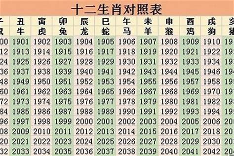 1996是什么年|1996年是什么年